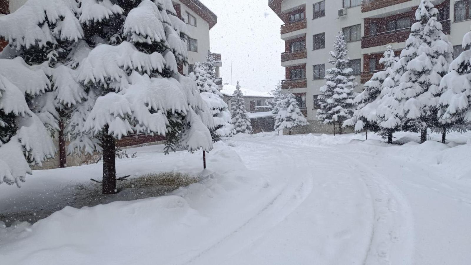 Studio Detelina Residence Bansko Exterior foto