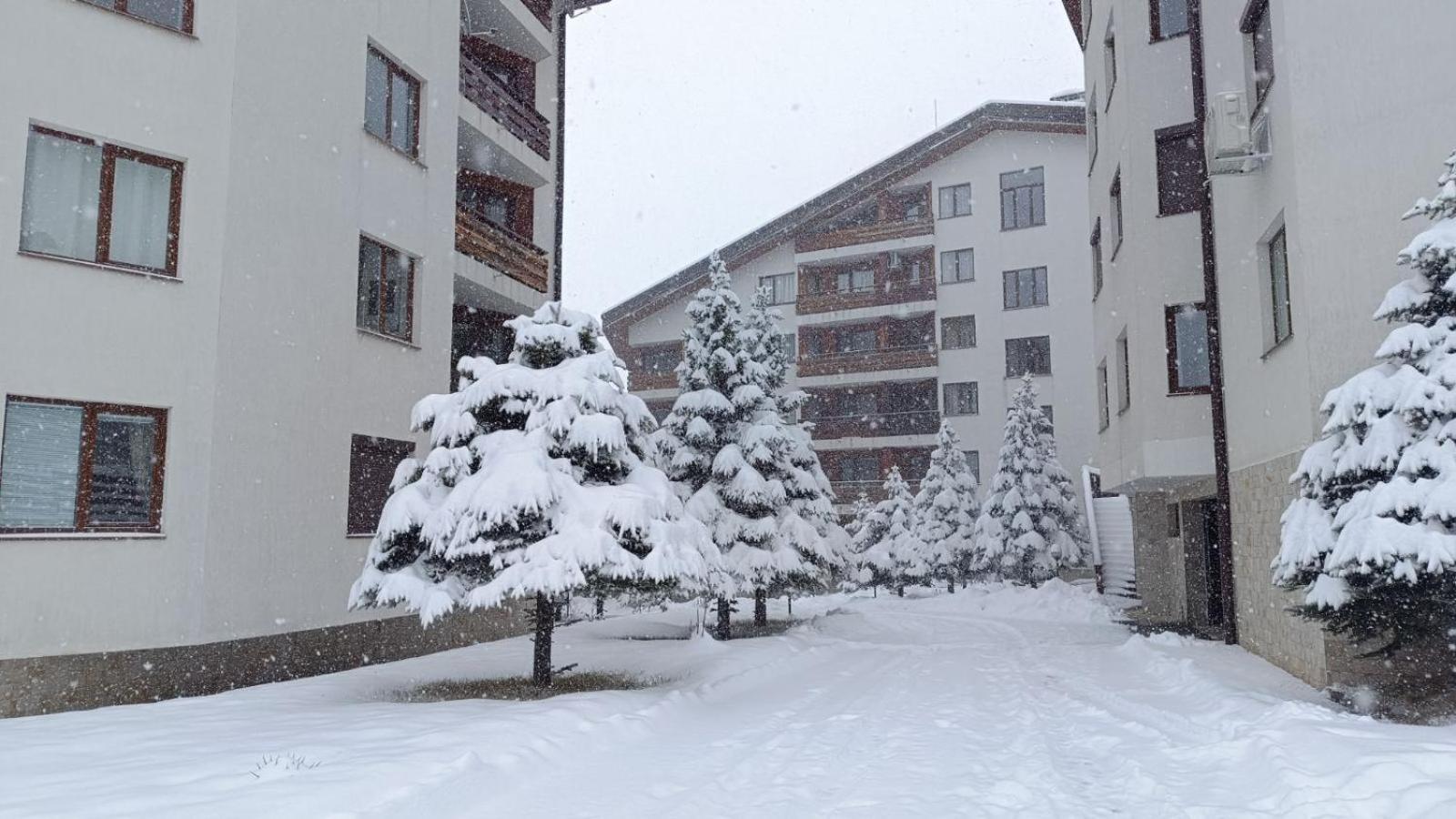 Studio Detelina Residence Bansko Exterior foto