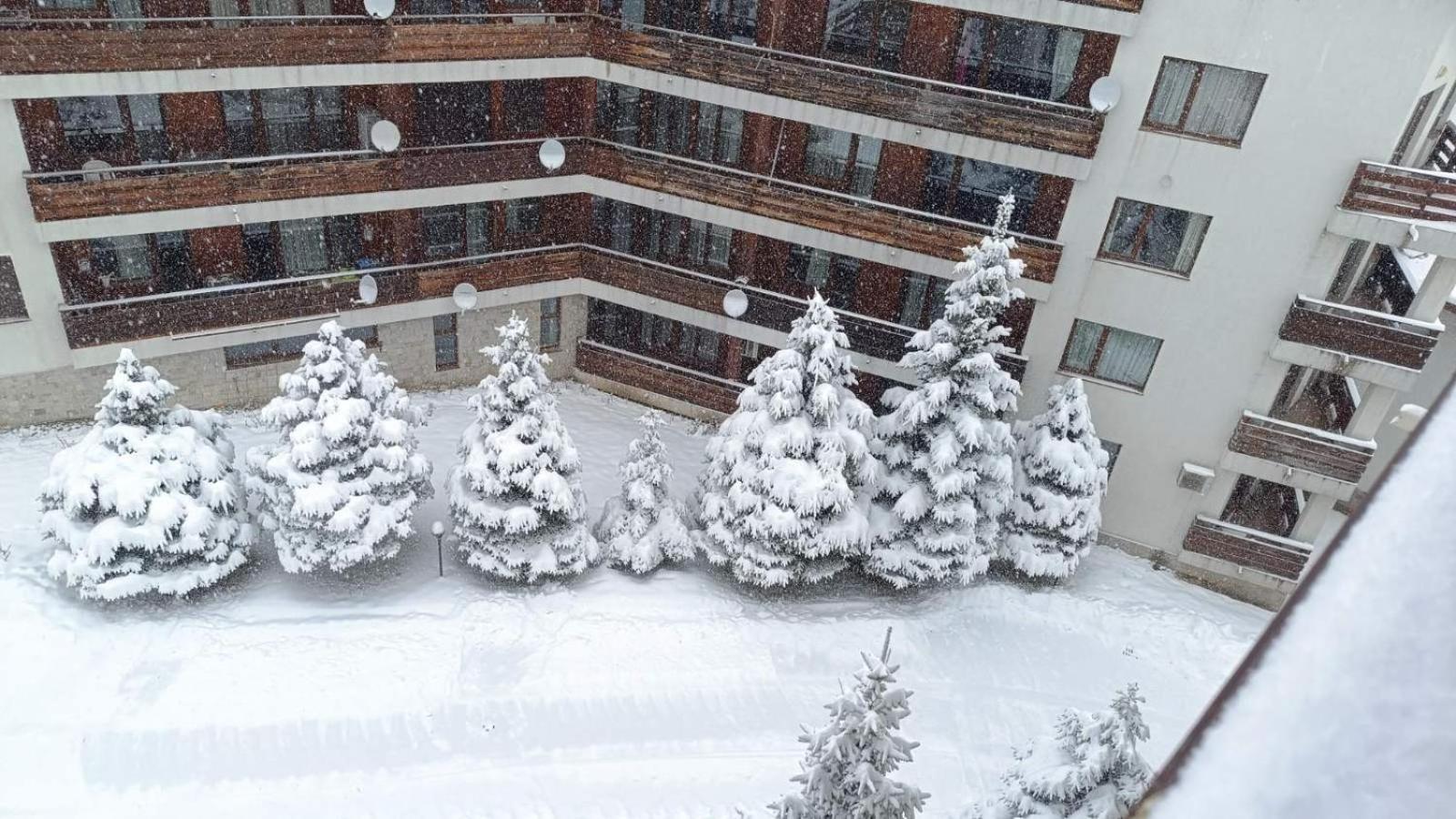 Studio Detelina Residence Bansko Exterior foto