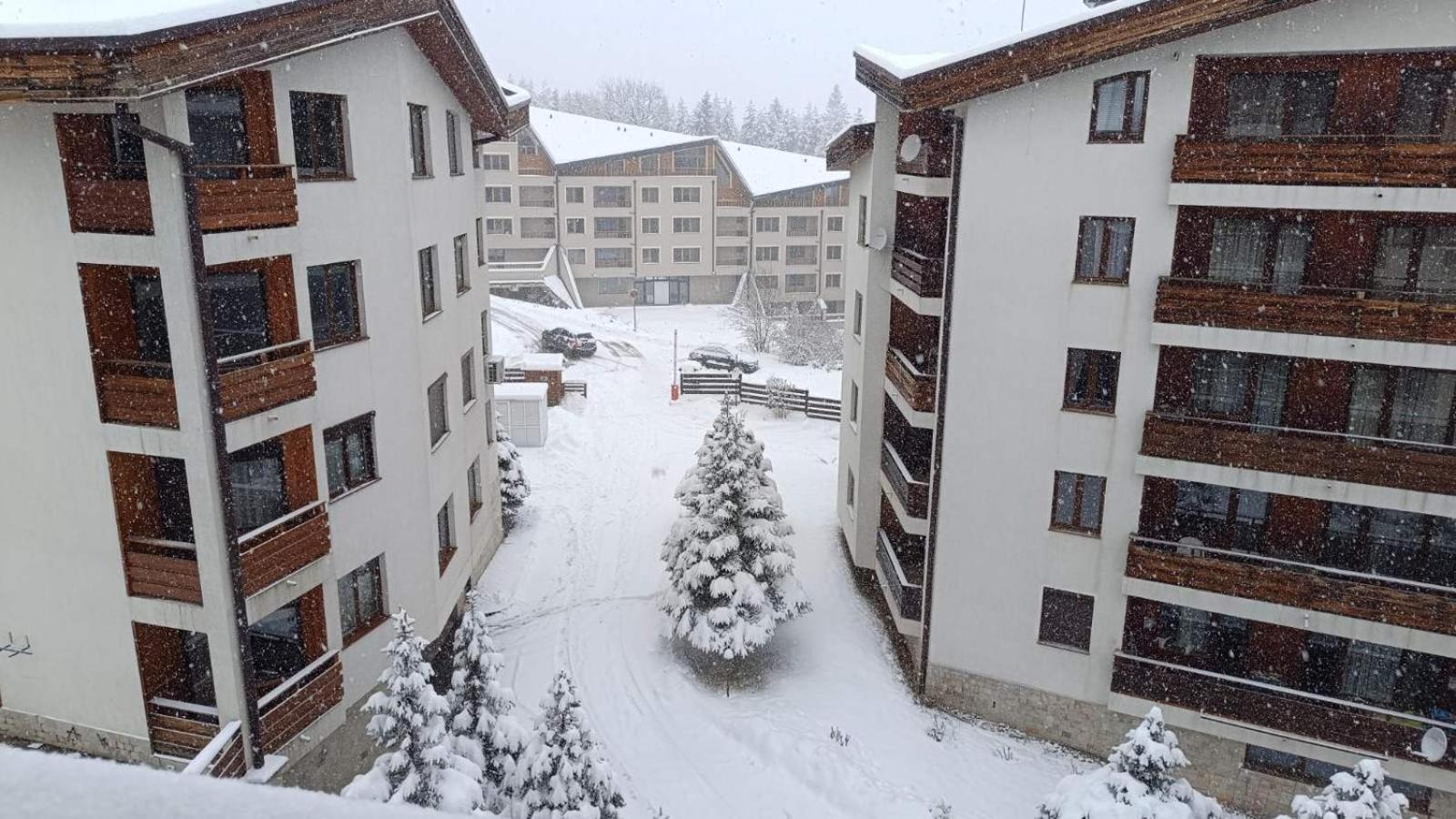 Studio Detelina Residence Bansko Exterior foto